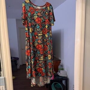 LuLaRoe Colorful Floral High Low Carly Dress